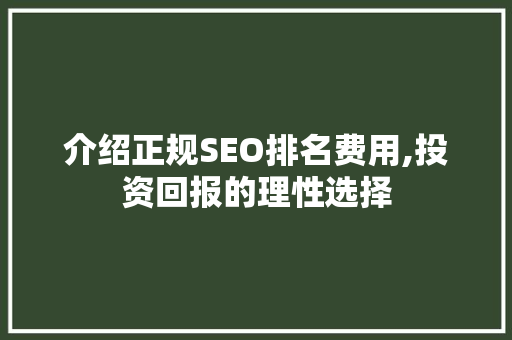 介绍正规SEO排名费用,投资回报的理性选择