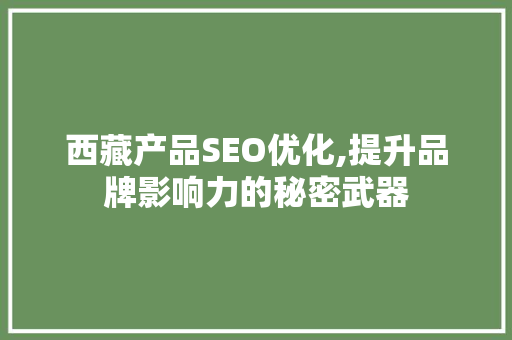 西藏产品SEO优化,提升品牌影响力的秘密武器