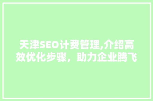 天津SEO计费管理,介绍高效优化步骤，助力企业腾飞