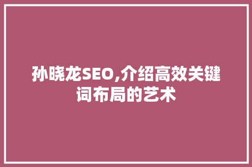 孙晓龙SEO,介绍高效关键词布局的艺术