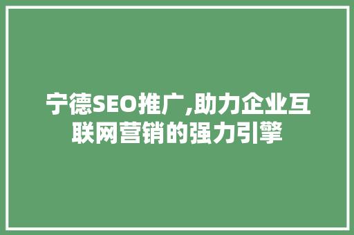 宁德SEO推广,助力企业互联网营销的强力引擎
