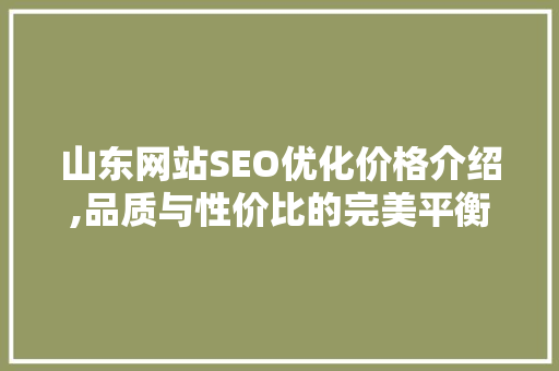 山东网站SEO优化价格介绍,品质与性价比的完美平衡