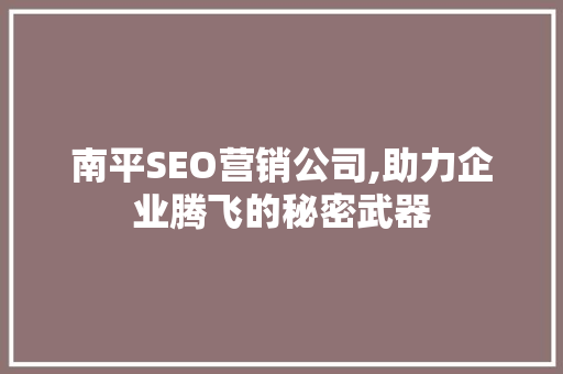 南平SEO营销公司,助力企业腾飞的秘密武器
