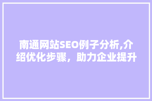 南通网站SEO例子分析,介绍优化步骤，助力企业提升在线竞争力