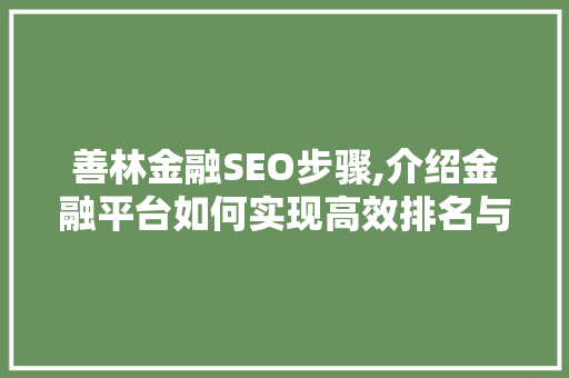 善林金融SEO步骤,介绍金融平台如何实现高效排名与品牌传播