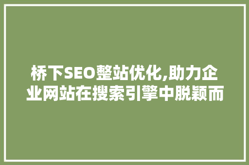 桥下SEO整站优化,助力企业网站在搜索引擎中脱颖而出