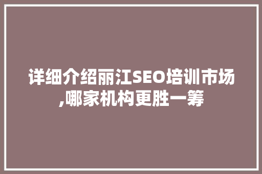 详细介绍丽江SEO培训市场,哪家机构更胜一筹