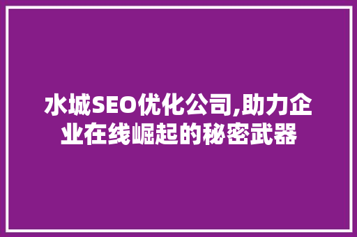 水城SEO优化公司,助力企业在线崛起的秘密武器