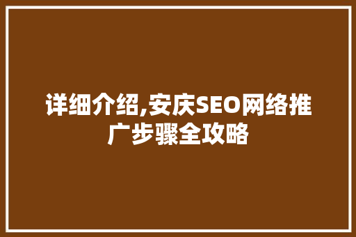 详细介绍,安庆SEO网络推广步骤全攻略