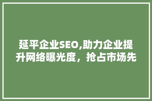 延平企业SEO,助力企业提升网络曝光度，抢占市场先机