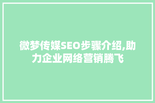 微梦传媒SEO步骤介绍,助力企业网络营销腾飞