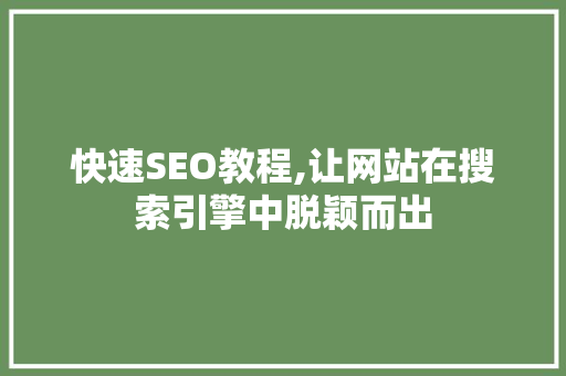 快速SEO教程,让网站在搜索引擎中脱颖而出