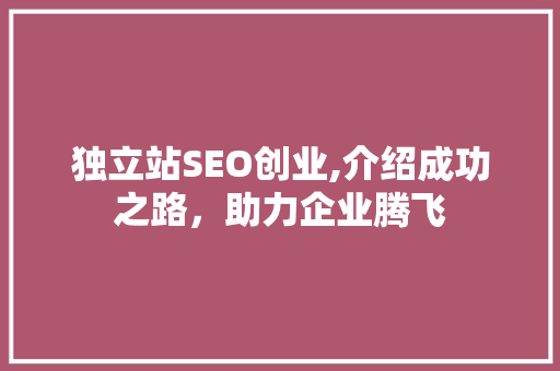 独立站SEO创业,介绍成功之路，助力企业腾飞  第1张