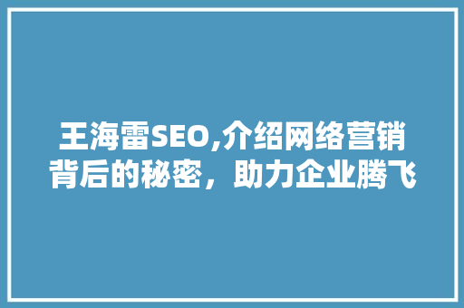 王海雷SEO,介绍网络营销背后的秘密，助力企业腾飞
