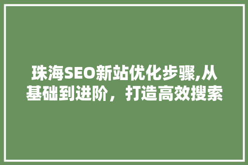 珠海SEO新站优化步骤,从基础到进阶，打造高效搜索引擎优化方法