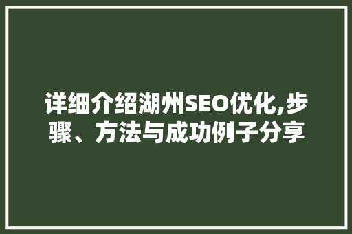 详细介绍湖州SEO优化,步骤、方法与成功例子分享