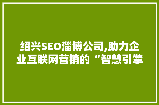 绍兴SEO淄博公司,助力企业互联网营销的“智慧引擎”