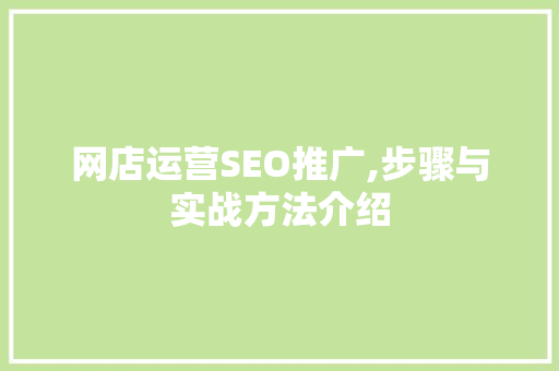 网店运营SEO推广,步骤与实战方法介绍  第1张