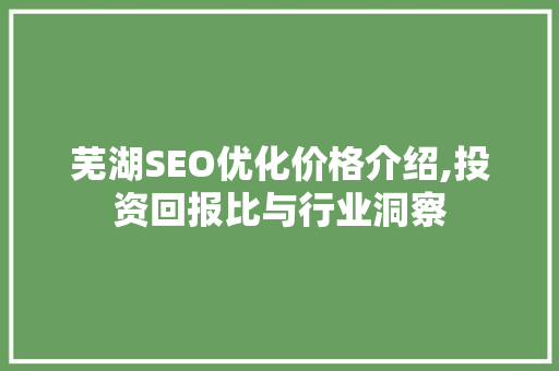 芜湖SEO优化价格介绍,投资回报比与行业洞察