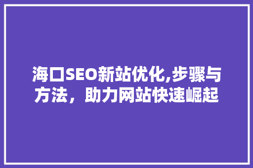 海口SEO新站优化,步骤与方法，助力网站快速崛起