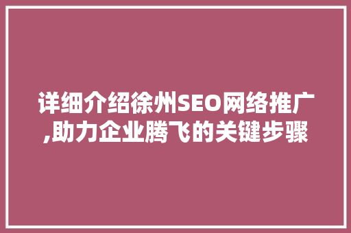 详细介绍徐州SEO网络推广,助力企业腾飞的关键步骤