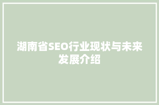 湖南省SEO行业现状与未来发展介绍