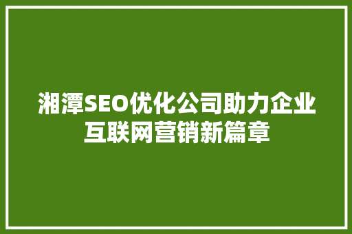 湘潭SEO优化公司助力企业互联网营销新篇章