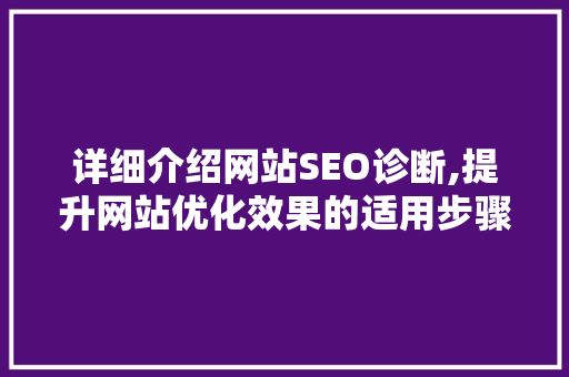 详细介绍网站SEO诊断,提升网站优化效果的适用步骤