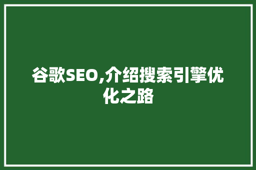谷歌SEO,介绍搜索引擎优化之路