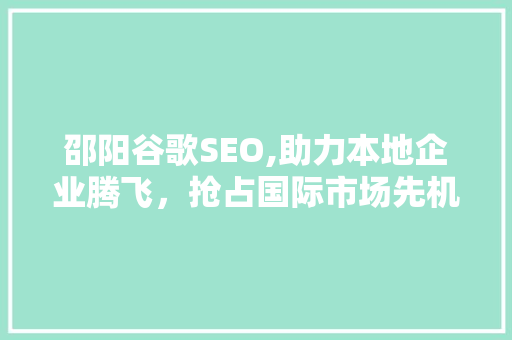 邵阳谷歌SEO,助力本地企业腾飞，抢占国际市场先机