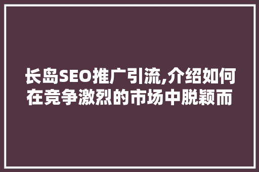 长岛SEO推广引流,介绍如何在竞争激烈的市场中脱颖而出