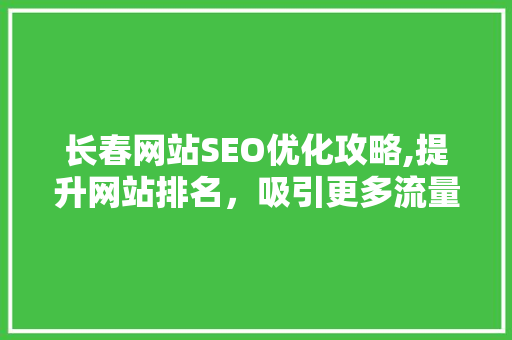 长春网站SEO优化攻略,提升网站排名，吸引更多流量
