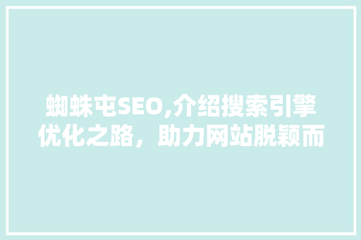 蜘蛛屯SEO,介绍搜索引擎优化之路，助力网站脱颖而出