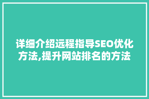 详细介绍远程指导SEO优化方法,提升网站排名的方法