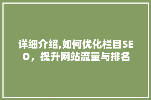 详细介绍,如何优化栏目SEO，提升网站流量与排名
