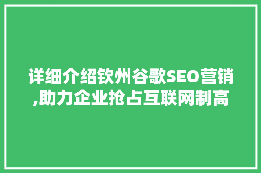 详细介绍钦州谷歌SEO营销,助力企业抢占互联网制高点