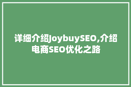 详细介绍JoybuySEO,介绍电商SEO优化之路