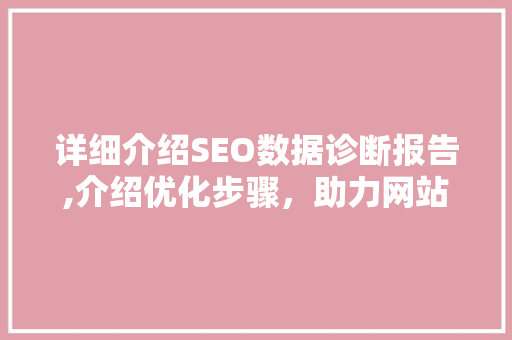 详细介绍SEO数据诊断报告,介绍优化步骤，助力网站提升排名