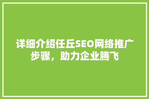 详细介绍任丘SEO网络推广步骤，助力企业腾飞