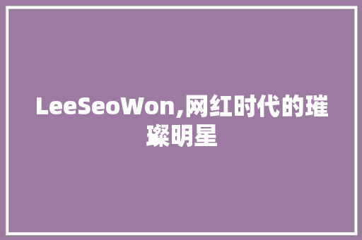 LeeSeoWon,网红时代的璀璨明星