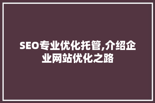 SEO专业优化托管,介绍企业网站优化之路