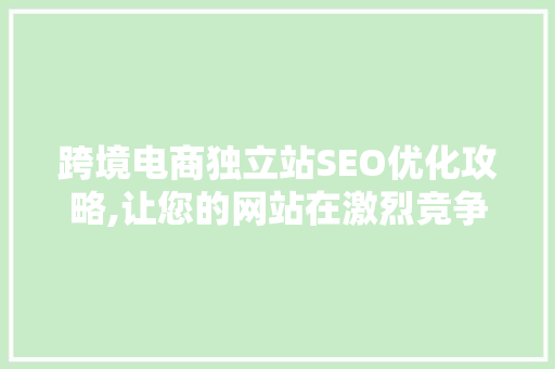 跨境电商独立站SEO优化攻略,让您的网站在激烈竞争中脱颖而出