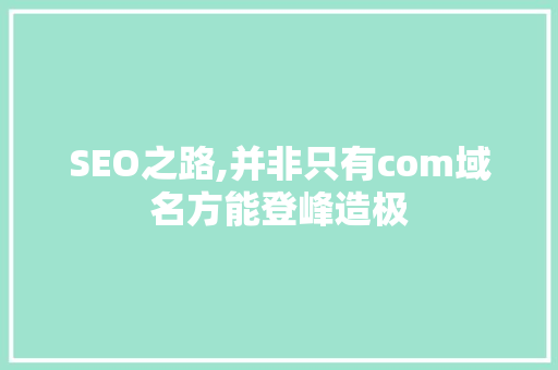 SEO之路,并非只有com域名方能登峰造极