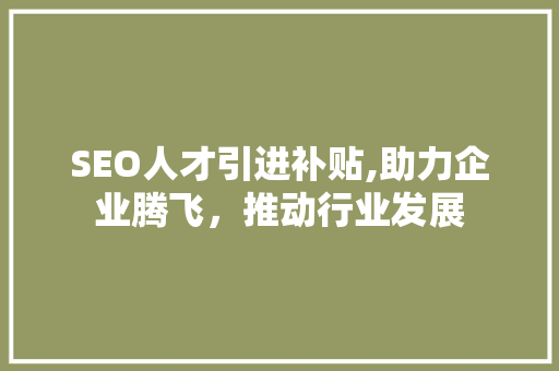 SEO人才引进补贴,助力企业腾飞，推动行业发展