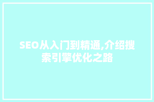 SEO从入门到精通,介绍搜索引擎优化之路