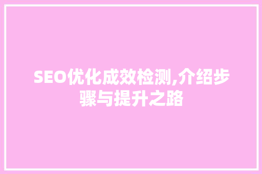 SEO优化成效检测,介绍步骤与提升之路