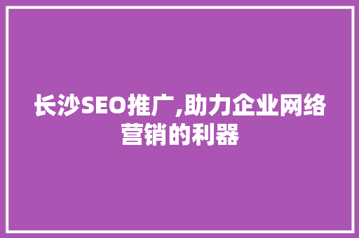长沙SEO推广,助力企业网络营销的利器