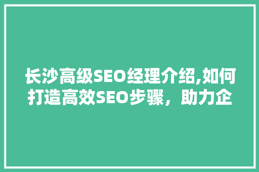 长沙高级SEO经理介绍,如何打造高效SEO步骤，助力企业网站优化
