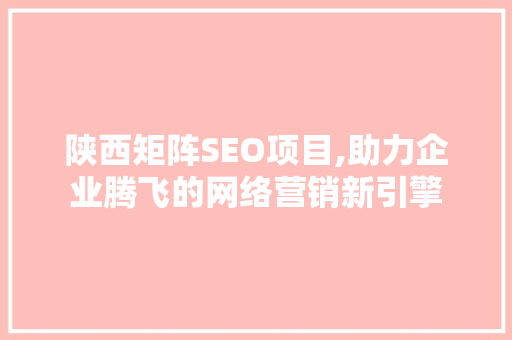 陕西矩阵SEO项目,助力企业腾飞的网络营销新引擎