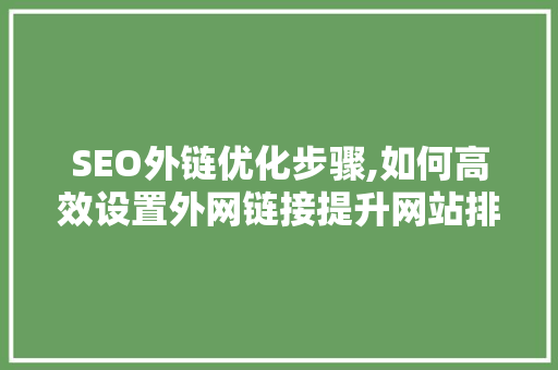 SEO外链优化步骤,如何高效设置外网链接提升网站排名